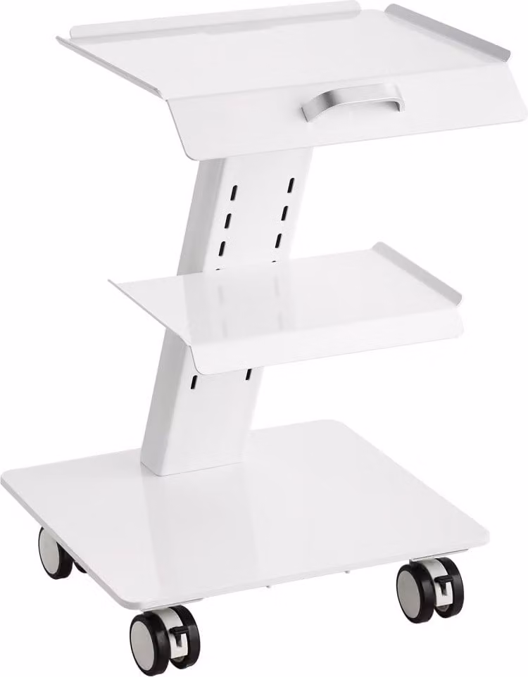Carrello da laboratorio Deluxe - Carrello mobile in metallo a 3 strati con ruote piroettanti - Carrello di servizio per laboratori, cliniche e saloni di bellezza - Capacità di carico di 100 kg