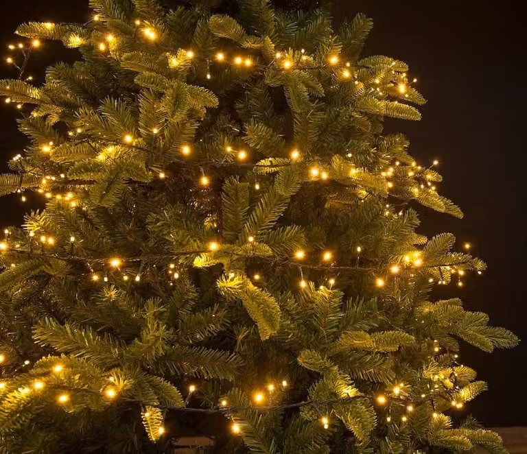 Kaemingk Lumineo luci fiabesche compatte a 1-2 bagliori 880 LED classiche calde per esterni 2,4 m verde