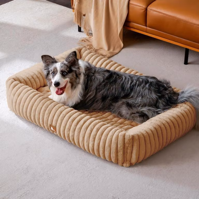Cuccia per cani, taglia XL, lavabile, imbottita, dimensioni: 109 x 76 x 20 cm