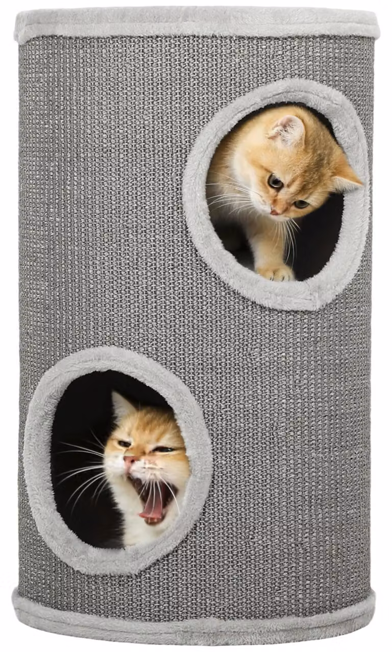 Tiragraffi per gatti - Con 2 cuccioli - Ø 35 x 60 cm - Grigio - Per 1-2 gatti