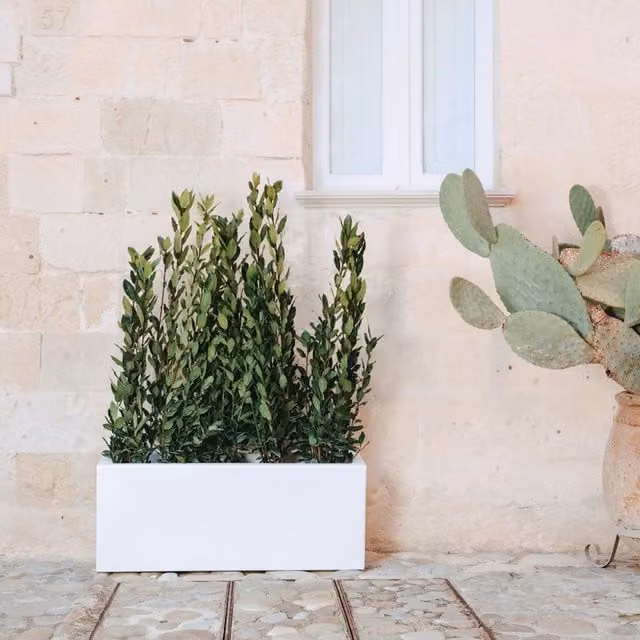 Vaso fioriera rettangolare in resina TEKCNOPLAST modello Matera, Grigio e Bianco, L: 100 cm, P: 40 cm, H: 32 cm