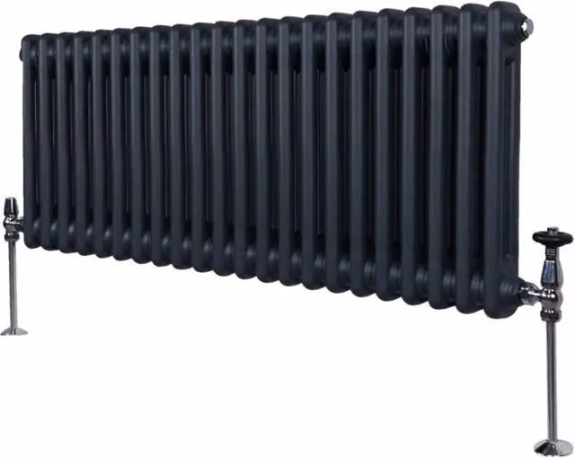 Radiatore Termosifone a 2 Colonne Monster Shop in Metallo Grigio Antracite H: 101,2 cm, L: 30 cm