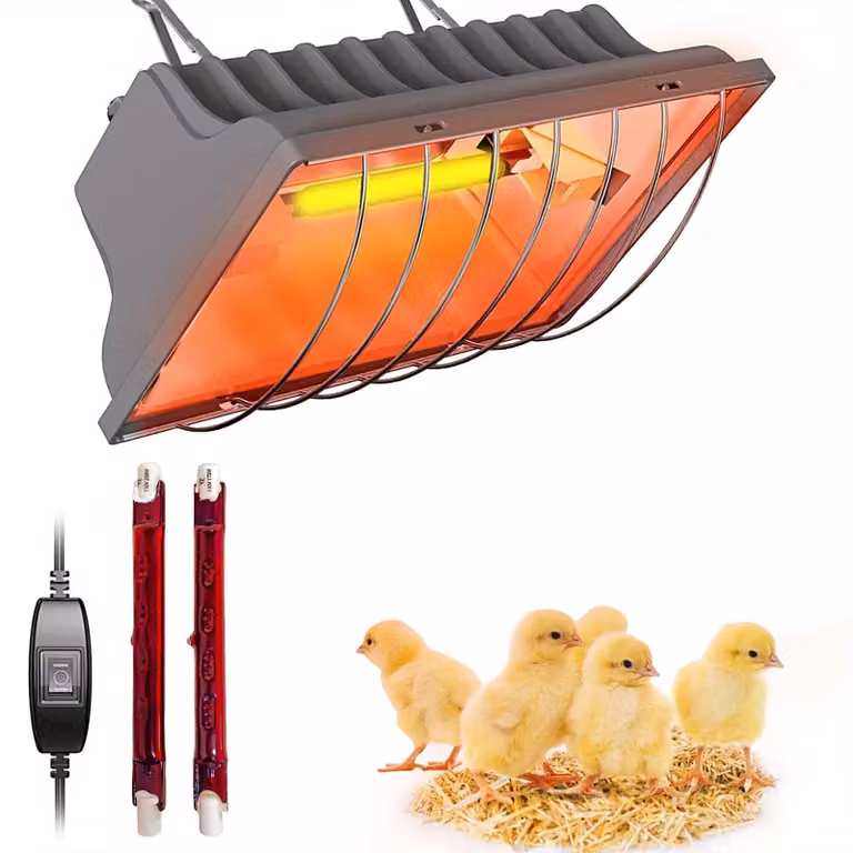 Gabbia per polli con riscaldamento, lampada a infrarossi da 250 W, impermeabile e sicura per gli animali