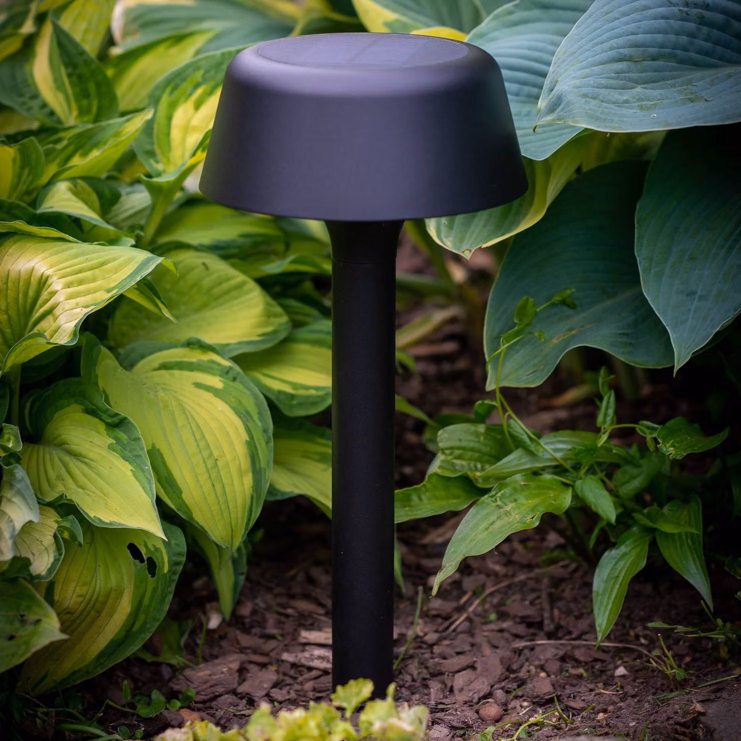Dyberg Larsen Valencia lampada solare per vialetto, nera, Nero, Metallo, Scandinavo, Lampade solari