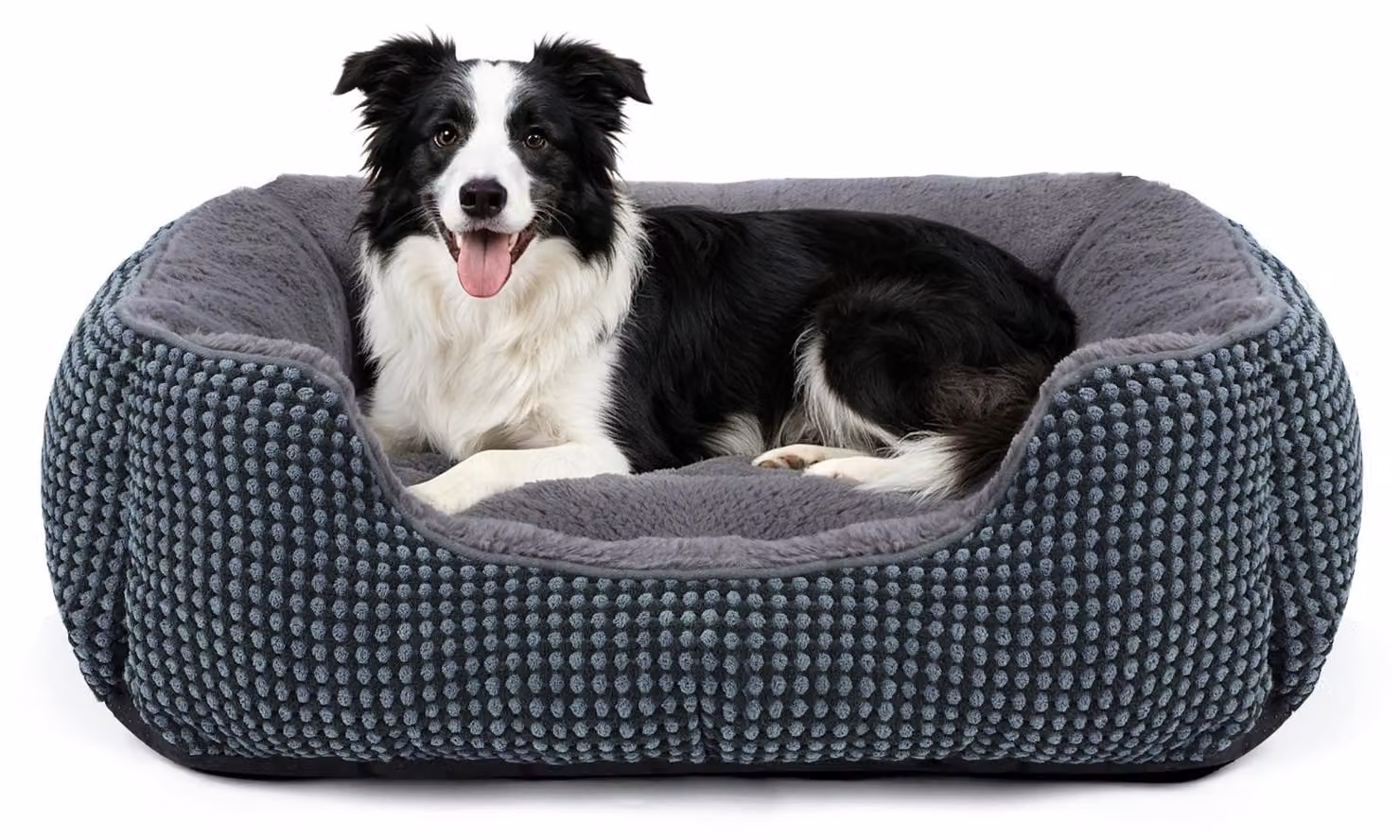 Omgoods - Cuccia morbida e lavabile per cani di taglia media e gatti