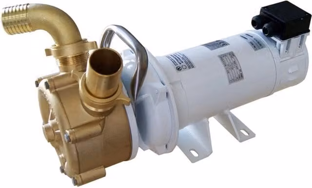 Pompa in bronzo Liverani 24V