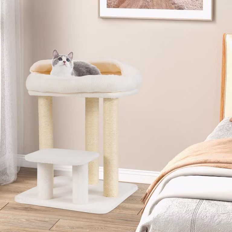 COSTWAY 61 cm tiragraffi piccolo, albero per gatti con seduta morbida, base grande, piattaforma e tiragraffi in sisal, tiragraffi in legno per gatti, albero per arrampicarsi, bianco