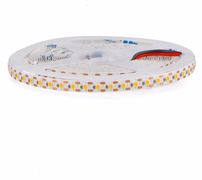 Striscia LED 24V DC, chip SMD2835, 120 LED al metro, 5 metri, colore blu, grado di protezione IP20