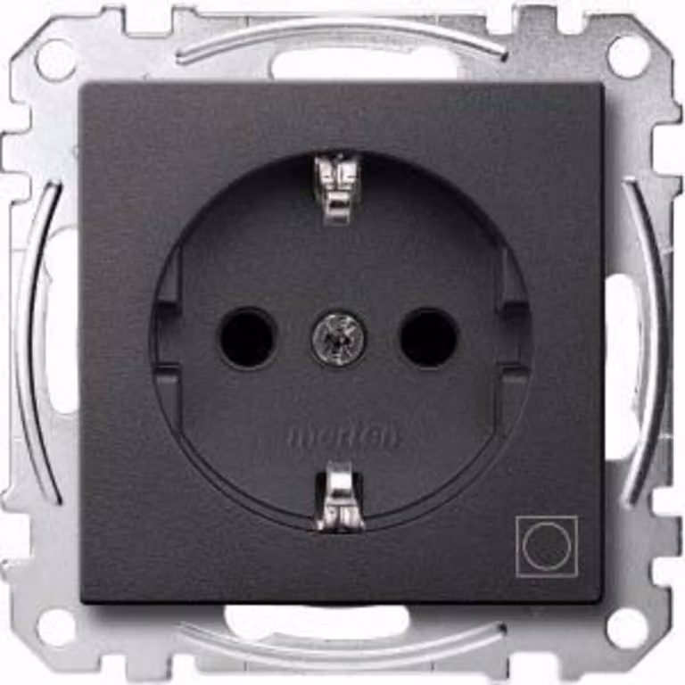 Presa SCHUKO con indicazione per asciugatrice, BRS, morsetti a innesto, antracite, sistema M