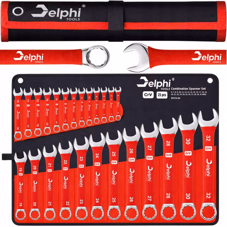 Delphi Tools - Chiavi fisse - Chiavi ad anello - Set di utensili - Set di chiavi - 25 pezzi in acciaio CrV