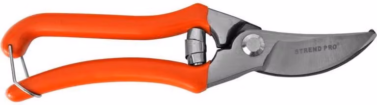Forbici Strend Pro P1802, da giardino, per uva e rami, per viticoltori