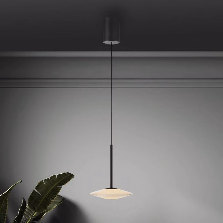 Paul Neuhaus Lampada LED a sospensione Elipsa, 1 luce, bianco/nero dimmerabile, Nero, Soggiorno / Sala da pranzo, Vetro