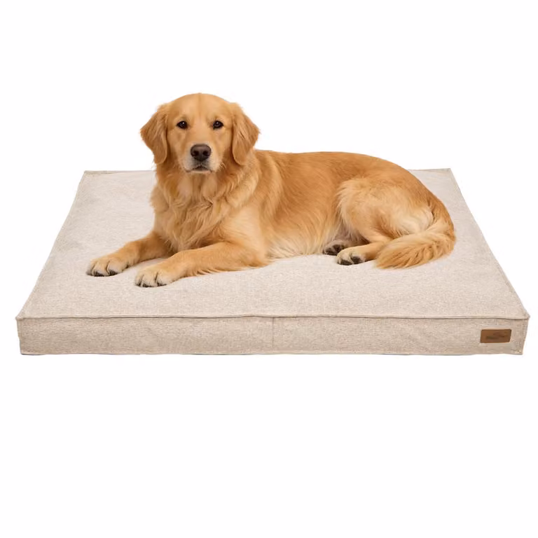 WISFOR Lettino per cani Divano per cani Cuscino per cani Antiscivolo, rivestimento sfoderabile e lavabile 2XL: 118 x 89 x 12 cm, kaki