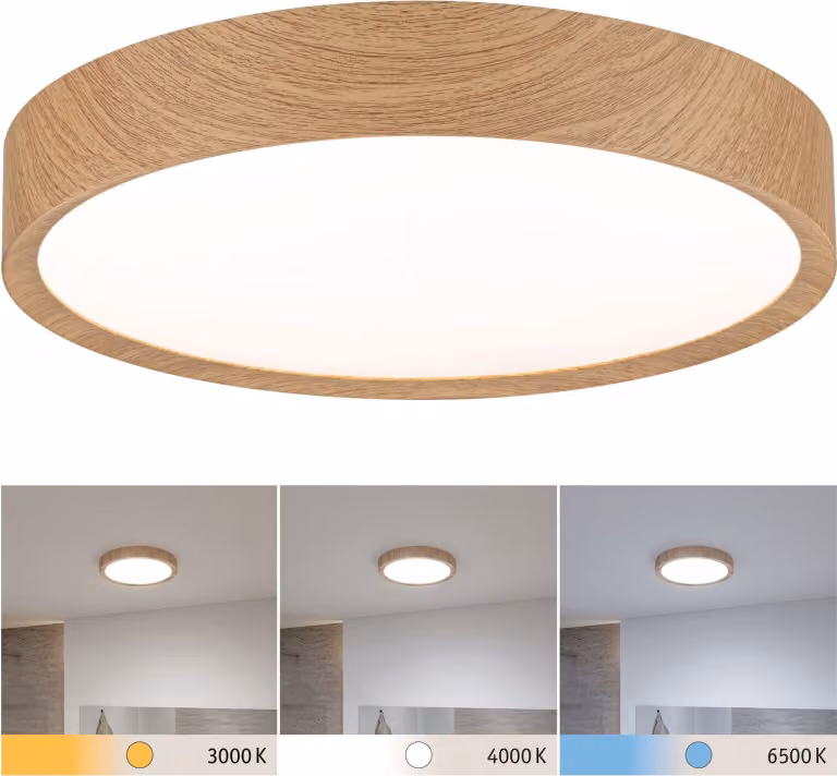 Lampada a soffitto LED per bagno Paulmann Selection, modello Tega
