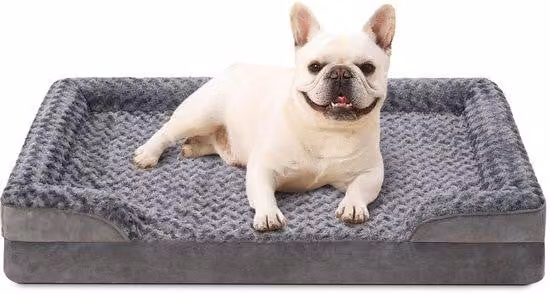 Cuccia per cani di piccola taglia, ortopedica, lavabile, cuccia per cani di piccola taglia, impermeabile, panca per cani, cuscino per cani, bordi rialzati, fondo antiscivolo, grigio
