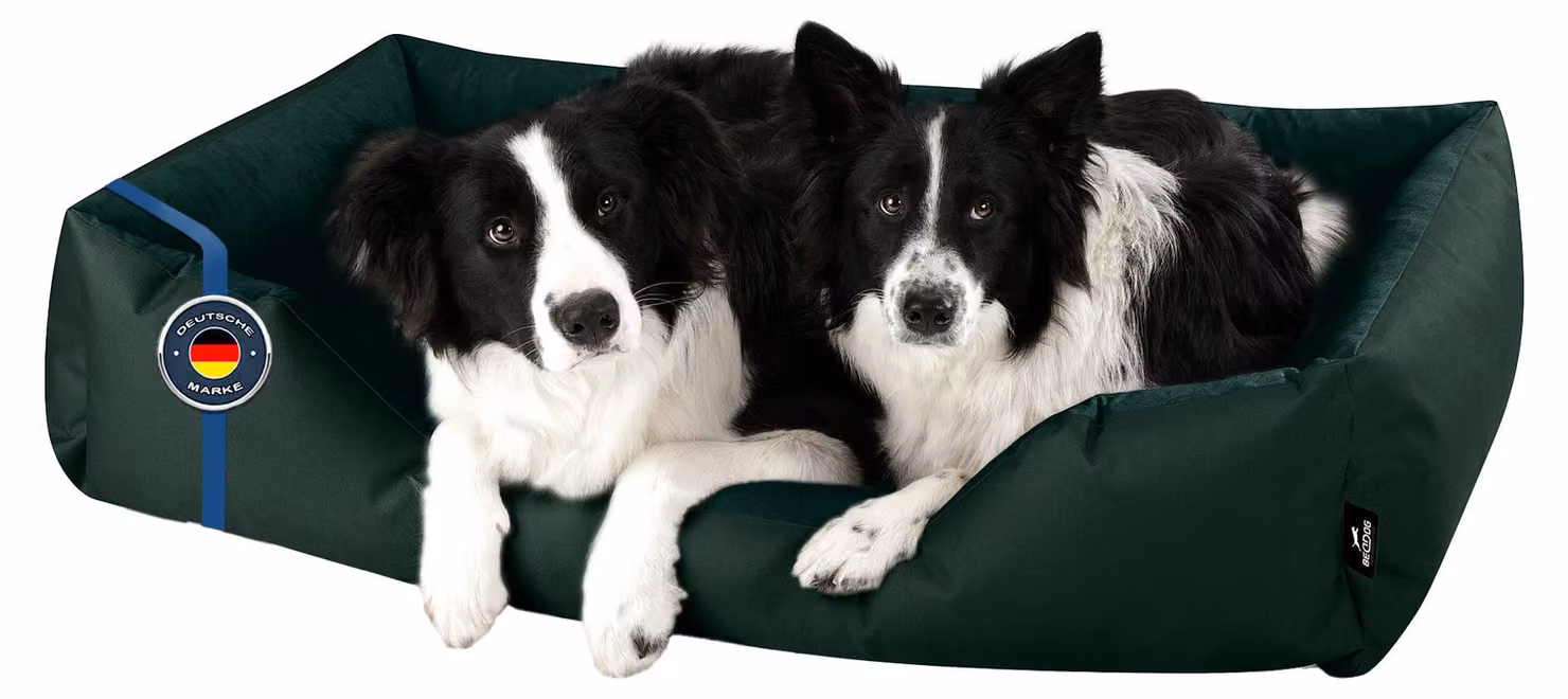 BedDog letto per cani ZARA cuscino per cani con rivestimento lavabile cesto per cani divano per cani, BOTTLE-GREEN (verde scuro),(XXL) ca. 120x85x23cm