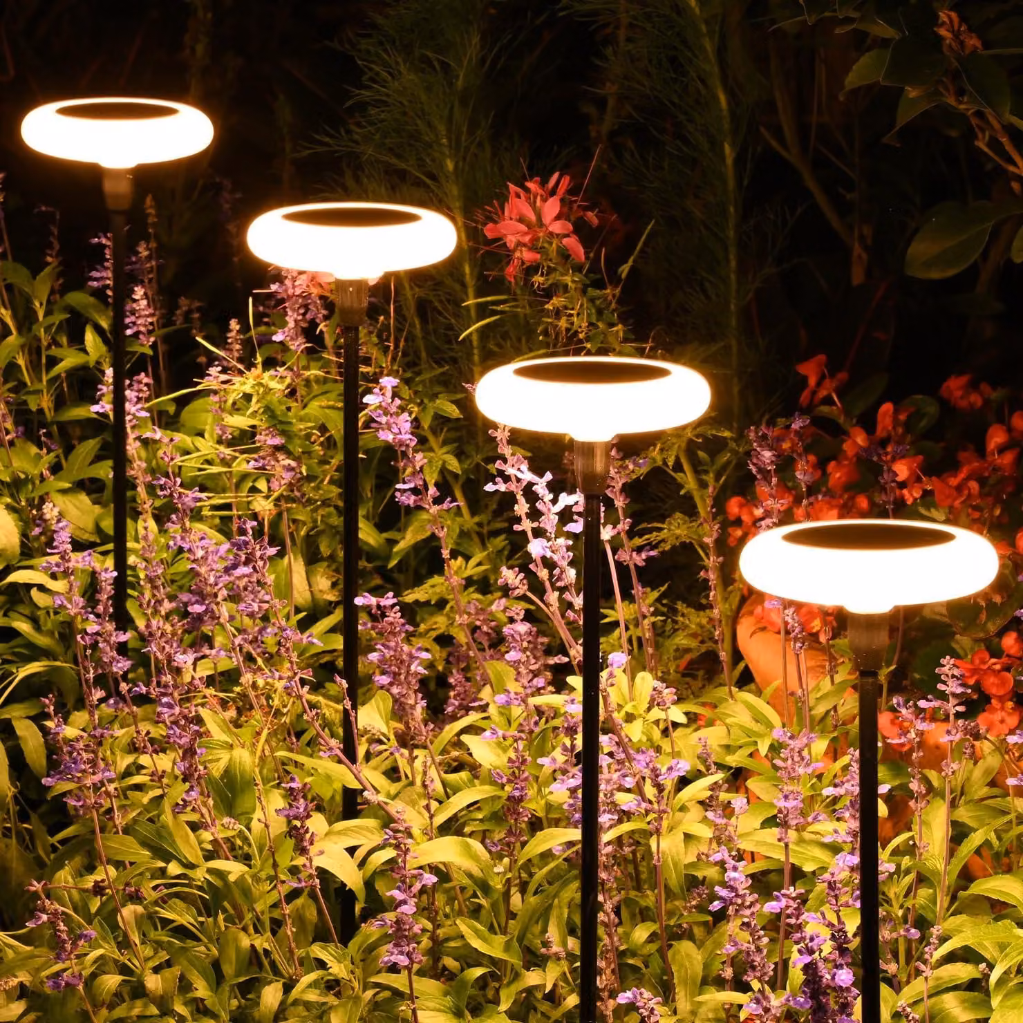 Set di 4 luci solari, luce bianco caldo, 36 lumen, grado di protezione IP65, per uso esterno
