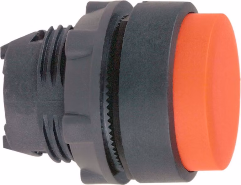 Pulsante Schneider Electric ZB5AL4
