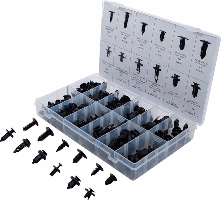 BGS Assortimento universale di clip di fissaggio per auto 192 pezzi - 9780
