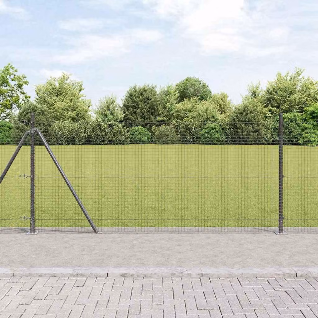 Maison Exclusive - Palo della recinzione Grigio 50 x 1 m (rete da 25 x 25 mm)
