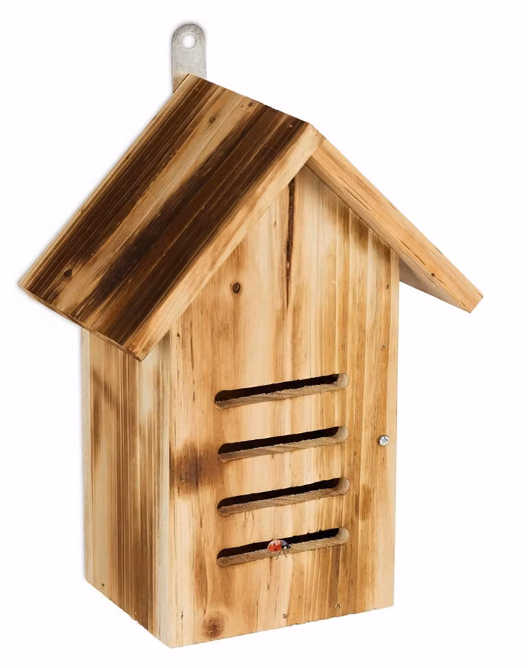 Relaxdays Casetta per coccinelle, legno, A x L x P: 25 x 18,5 x 12 cm, da appendere, giardino, rifugio per coccinelle, naturale