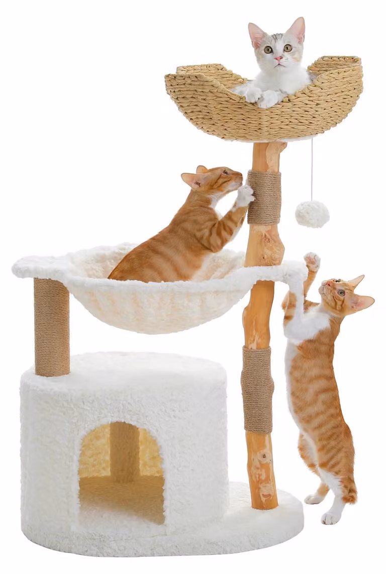 Katzenbaum, struttura in legno massiccio, ampio cesto in rattan, modello AMT0285WE, taglia L