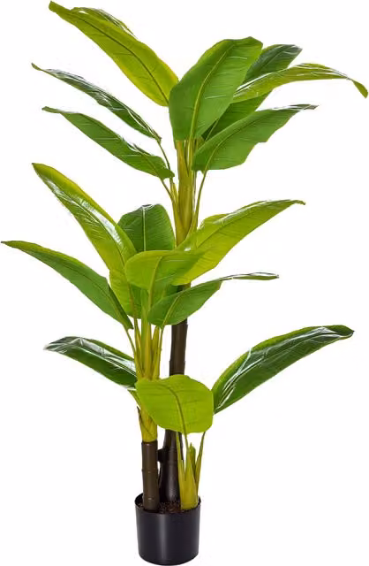 Pianta di Banano Artificiale Verde Aosom con Vaso, Albero Finto per Interno ed Esterno, Altezza: 150 cm