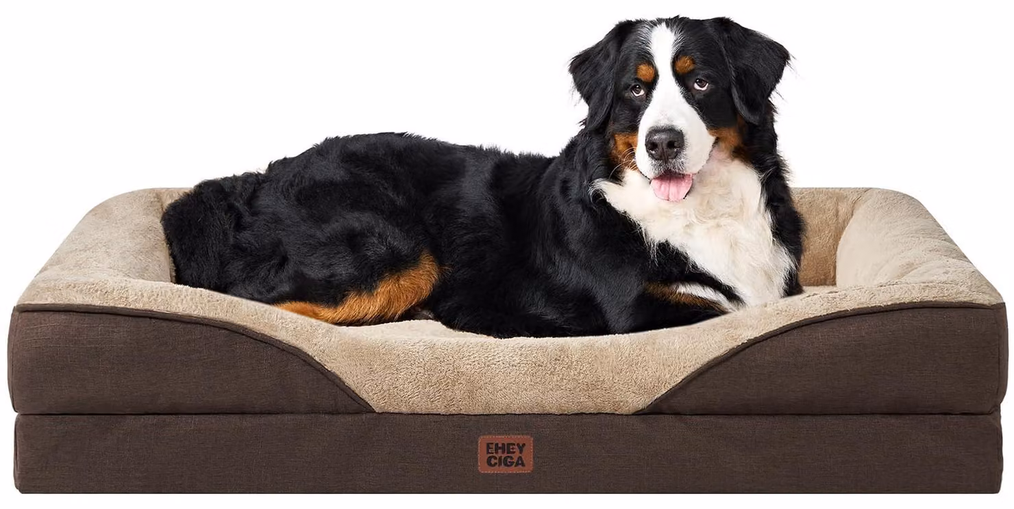 Letto ortopedico per cani, taglia XXL, con memory foam e 4 bordi, colore marrone, per uso interno