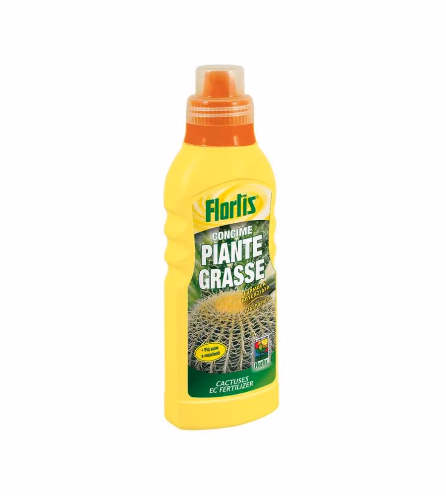 Piante Grasse 570 g
