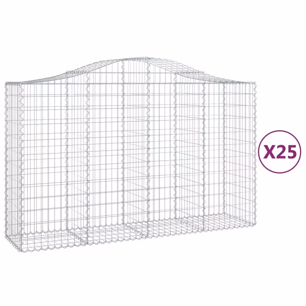 Cesti Gabbioni ad Arco 25 pz 200x50x120/140 cm Ferro Zincato