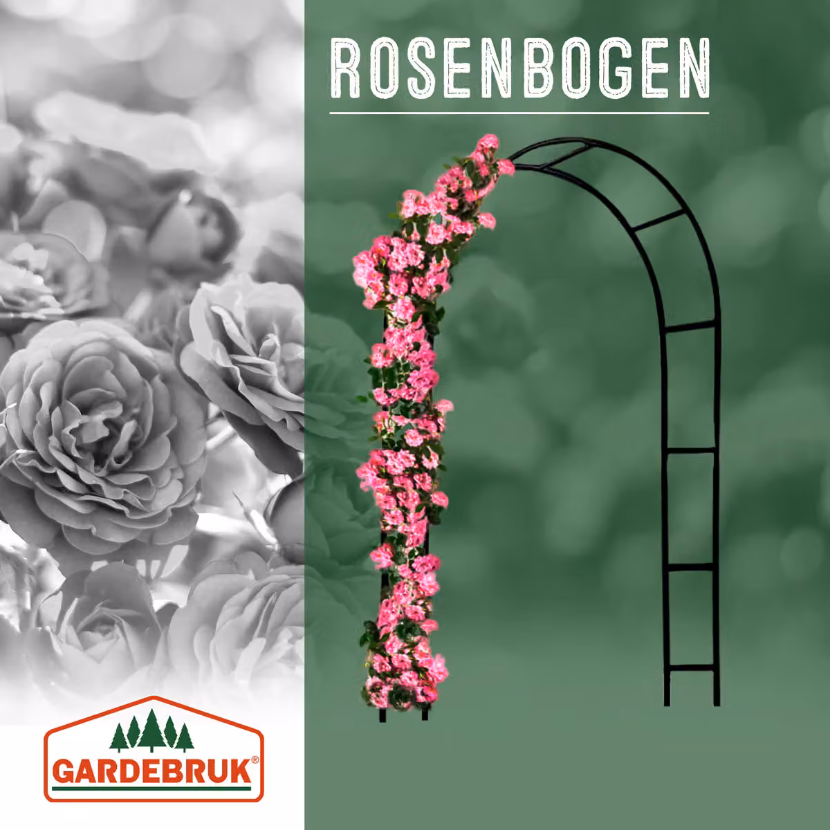 Arco per rose Gardebruk in metallo nero H: 240 cm, L: 140 cm, P: 37 cm – 2