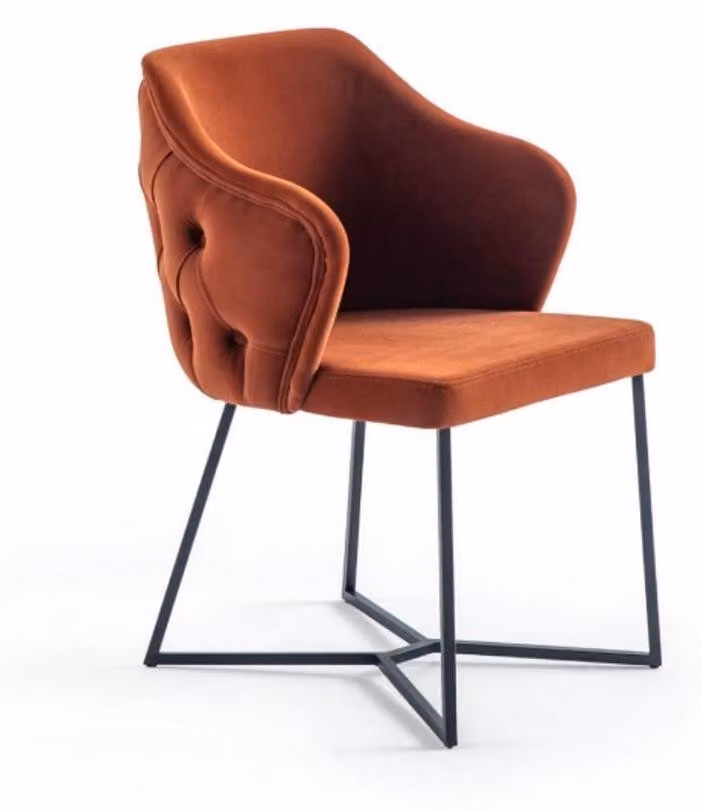 Designer Holzstuhl Stuhl Esszimmerstuhl Küchenstuhl Esszimmer Sitzmöbel