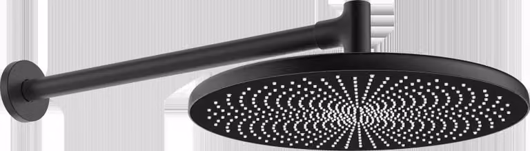 Douche de tête HANSA HANSAAURELIA, diamètre 300mm, 1 jet, montage mural, 4726030033, 4726030033