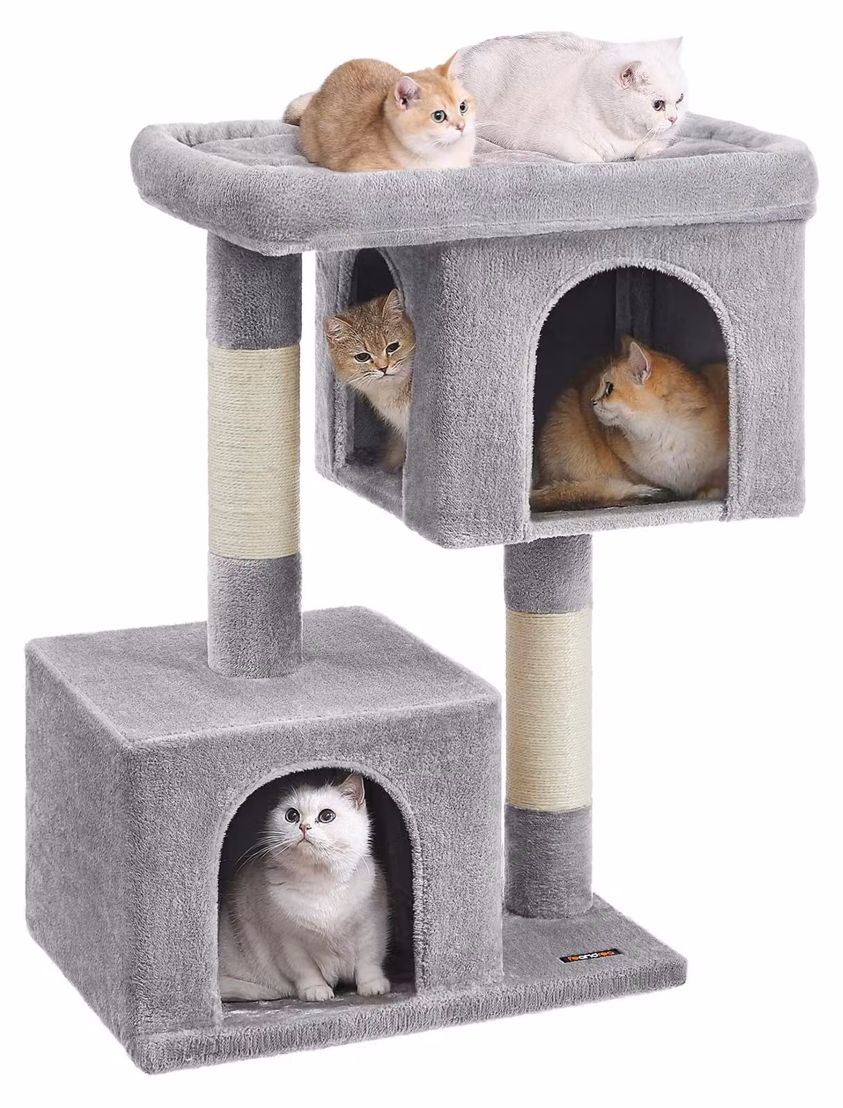 Albero Per Gatti, Torre Per Gatti 101 Cm, Xl, Appartamento Per Gatti Extra-Large Fino A 20 Kg, Gatto Grande, 2 Grotte Per Gatti, Tiragraffi, Luce