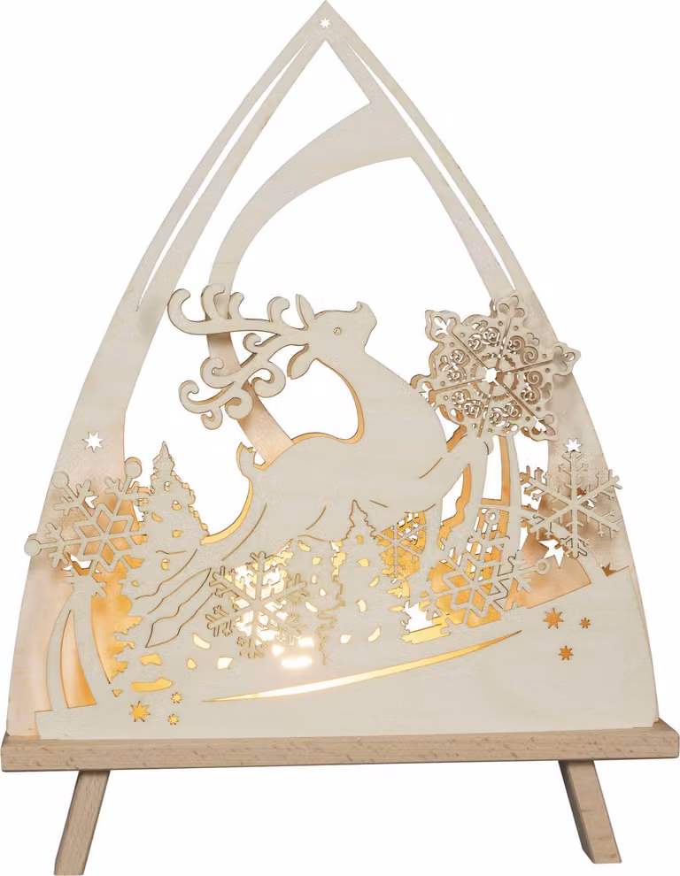 Punta luminosa Magia invernale Illuminazione a LED naturale LxAxP 30x38,5x6 cm NUOVO
