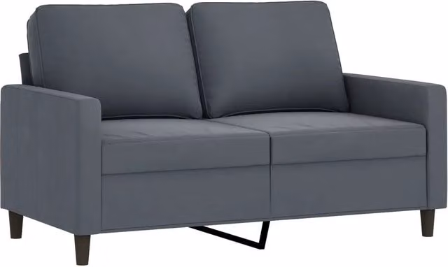 Divano | Divano da soggiorno | Sofa a 2 Posti grigio scuro 120 cm in Velluto