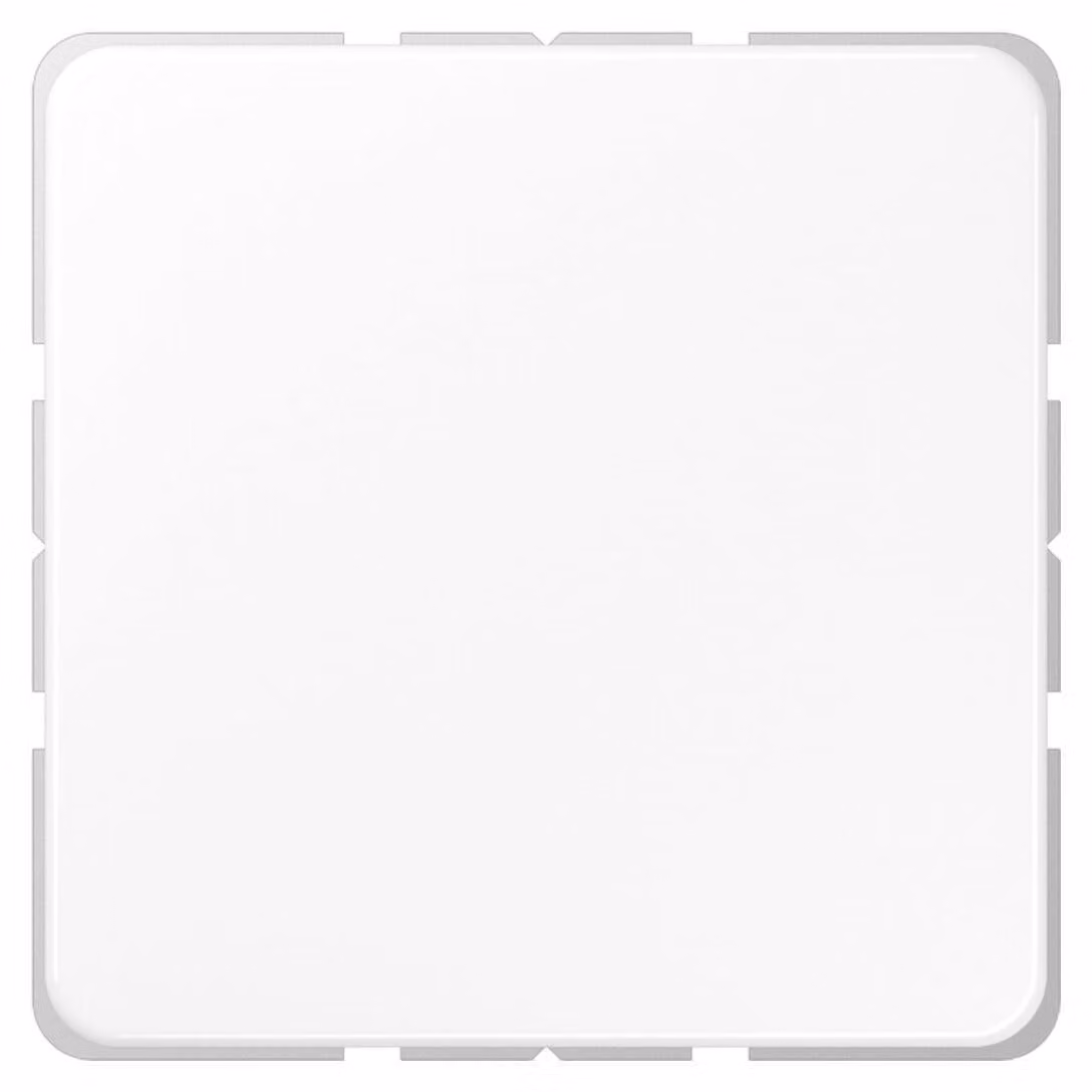 Coperchio cieco Jung aws compl. con anello di supporto CD 594-0 WW