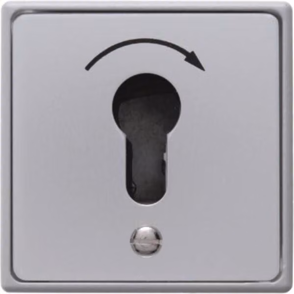 Interruttore a chiave Hager da incasso WDE4450 per semicilindro profilato in pressofusione IP44
