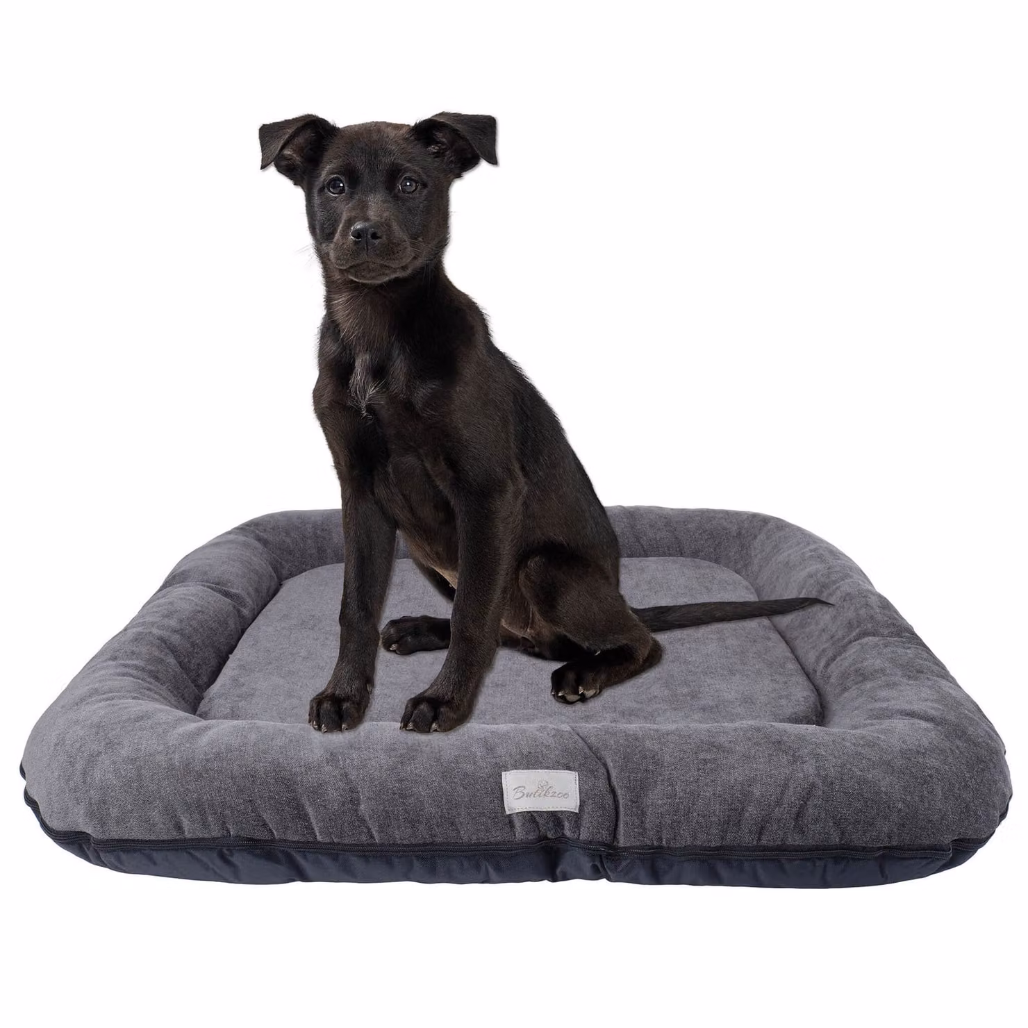 Cuccia per cani - Tappetino per cani impermeabile e lavabile in Codura | In & Outdoor per cani di taglia grande e gigante | Colore: Grafite, Misura XXL: 120 x 90 cm