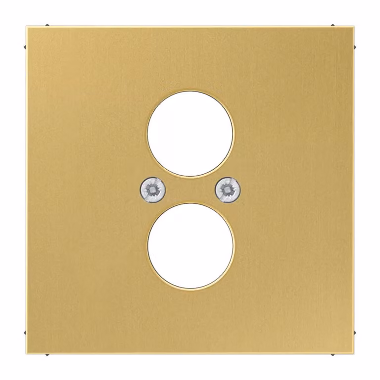 Jung ME2962-2C Copertura in ottone classico
