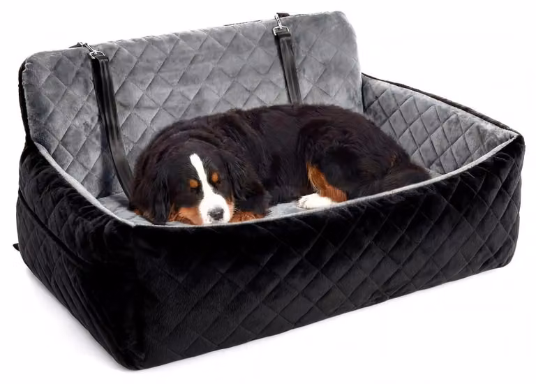 Trasportino per cani da auto – adatto a cani di piccola e media taglia – 80 x 50 x 40 cm – 2 guinzagli di sicurezza – tasche portaoggetti – smontabile – grigio