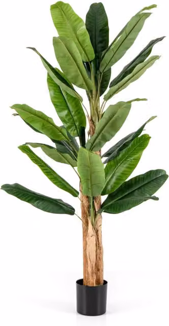 Albero di banana artificiale verde con foglie grandi e vaso in cemento, Altezza: 195 cm