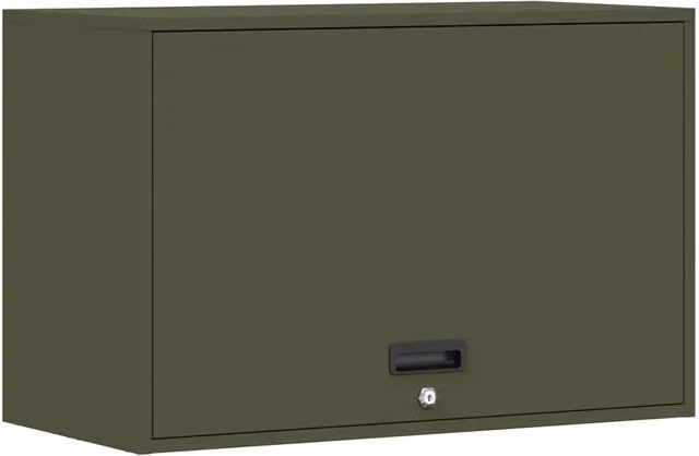 Armadio da parete dal design moderno per garage 80 x 40 x 53 cm finitura pulita in acciaio verde oliva 02_0052840