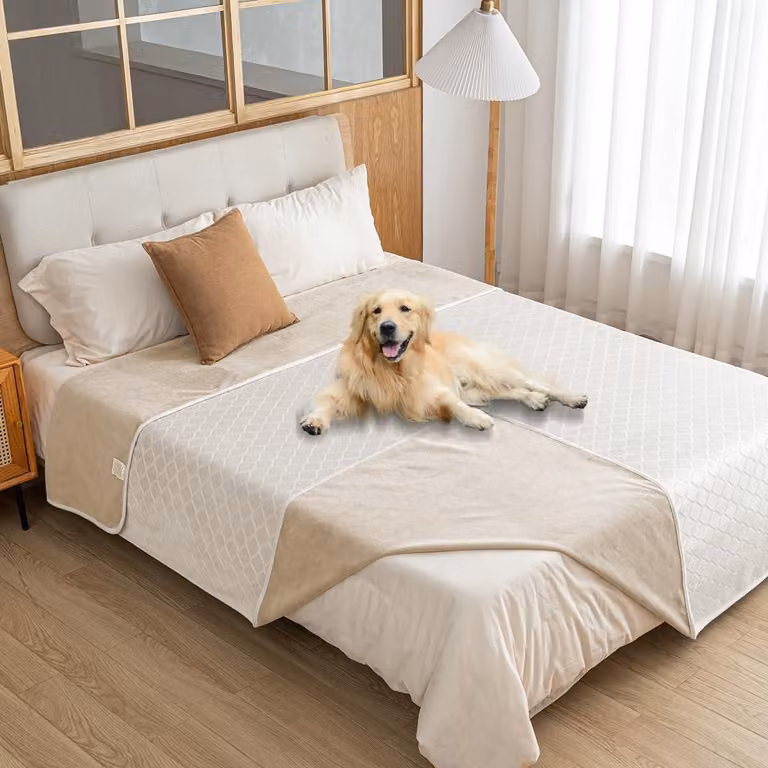 Coperta protettiva per cani, impermeabile, lavabile, colore beige, dimensioni 100x120 cm