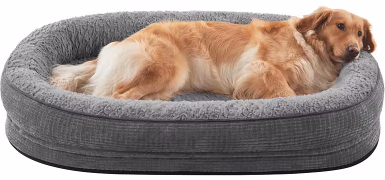 Omgoods - Cuccia ortopedica per cani di grossa taglia, modello XXL, con coprimento lavabile