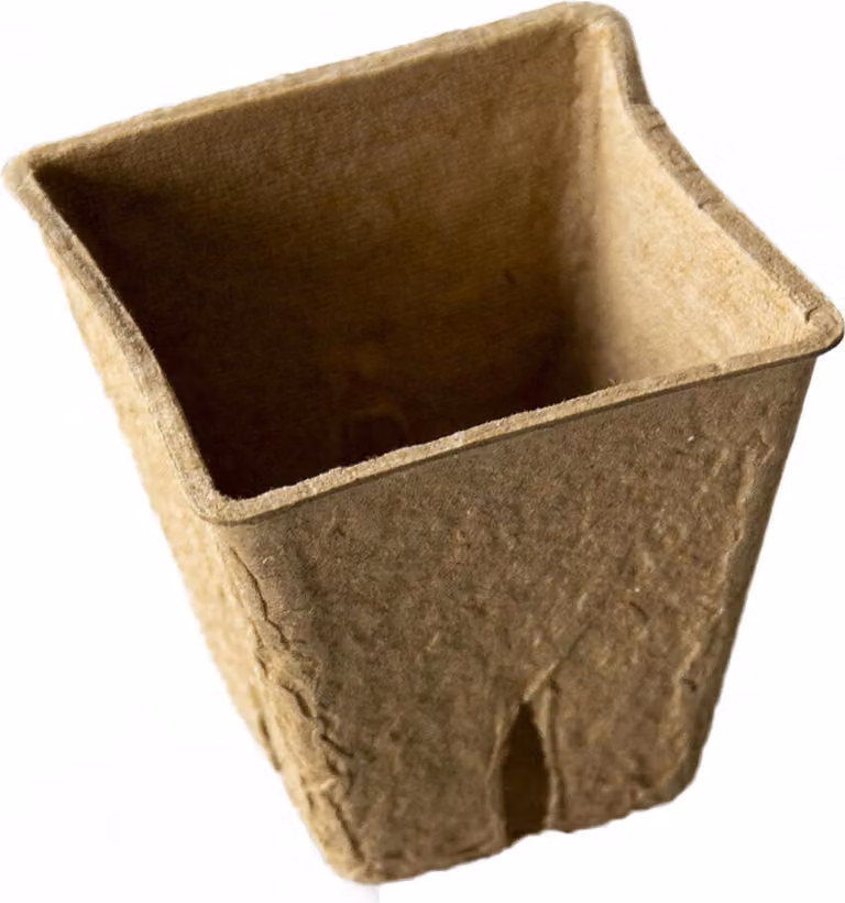 vaso monouso 6x6x5,6cm carta (20pz)