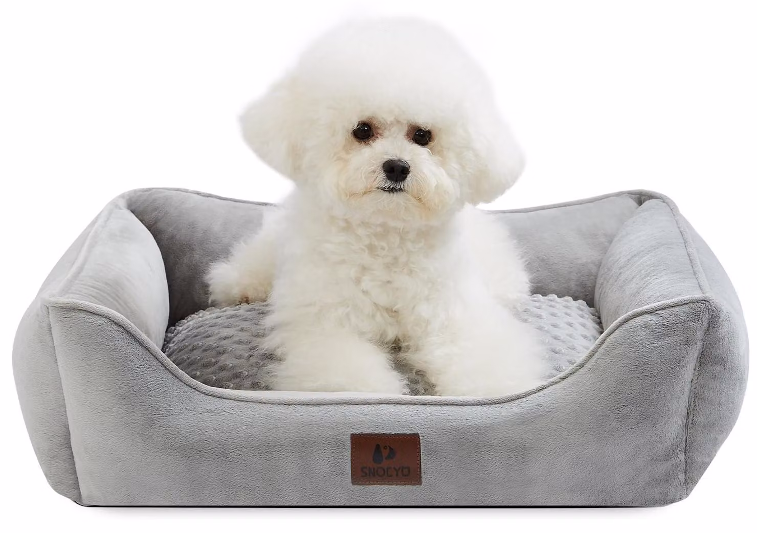 Cuccia per cani, dimensioni 65 x 55 x 18 cm, lavabile, con fodera removibile, adatta a cani di piccola taglia