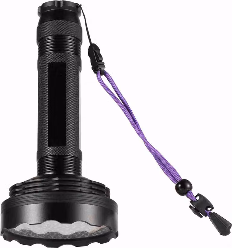 Torcia a LED