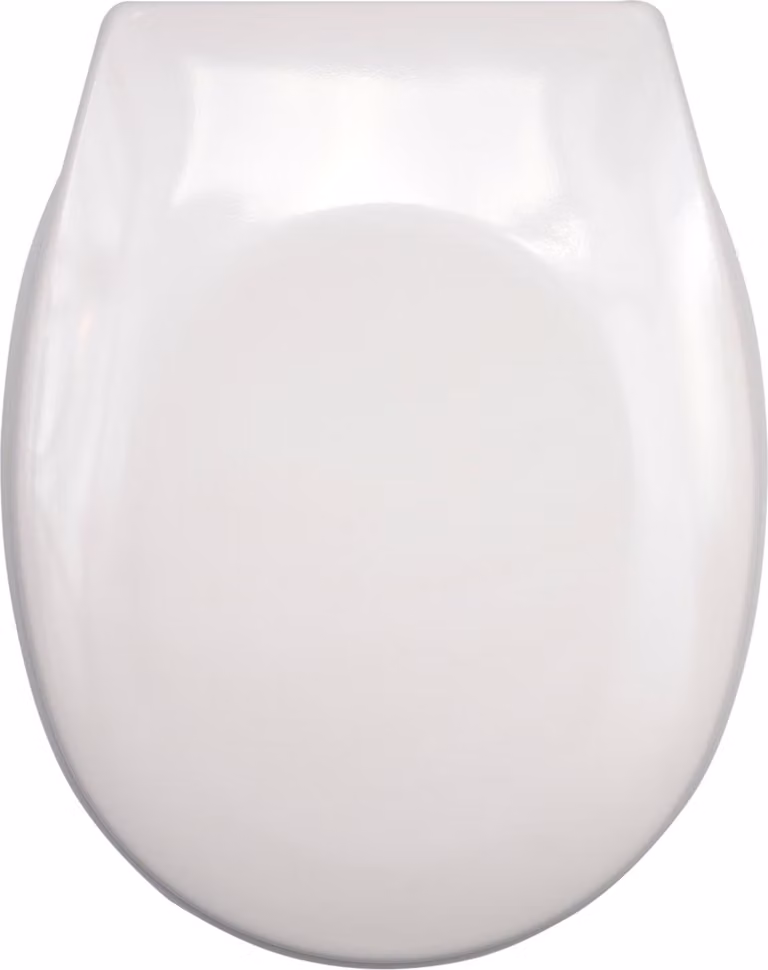 Sedile del WC con meccanismo soft-close