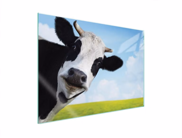 Piastra Di Protezione In Vetro Per Levatori 70X52 Cow